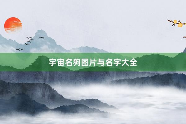 宇宙名狗图片与名字大全
